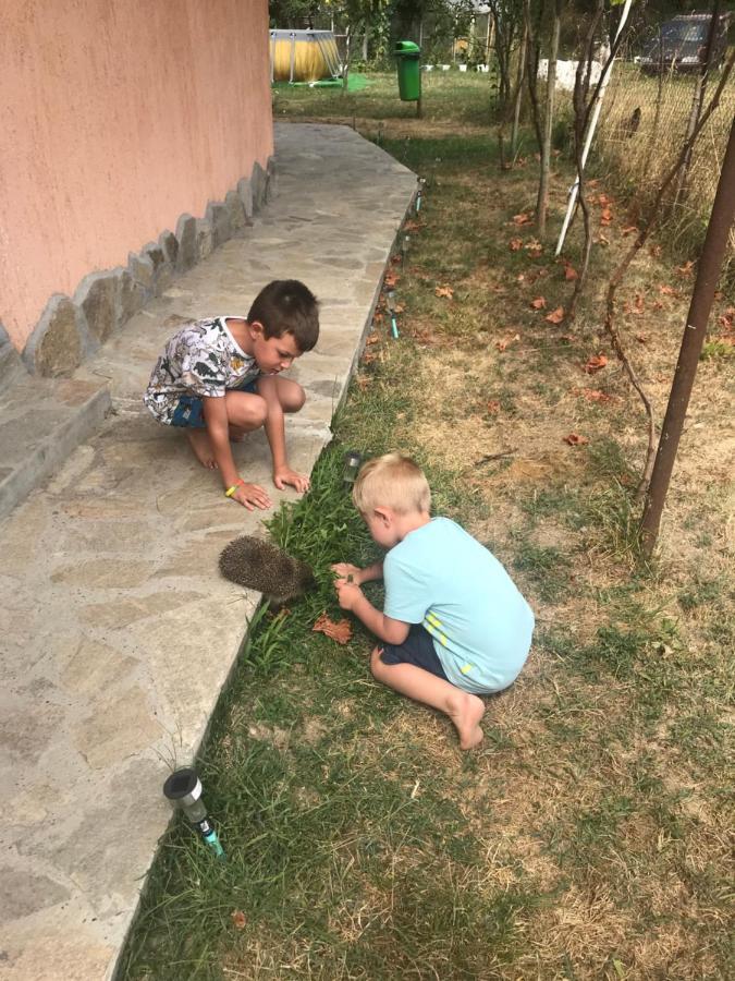Стаи За Гости Тони Ribarica Luaran gambar